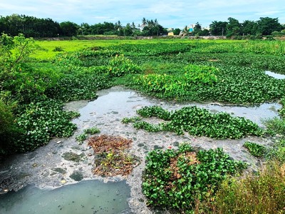 Khó xử lý triệt để ô nhiễm 2 hồ điều hòa lớn nhất TP Quảng Ngãi