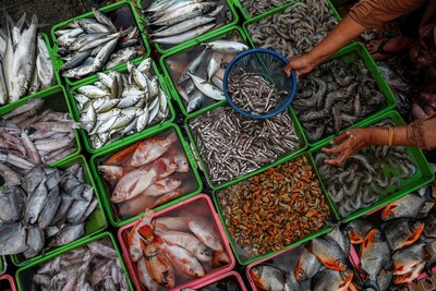 Thị trường Hàn Quốc cấm nhập khẩu hải sản từ Nhật Bản
