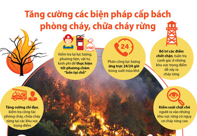 Tương Dương- Nghệ An: Tăng cường các biện pháp cấp bách phòng cháy và chữa cháy rừng