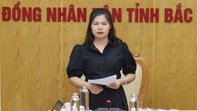 Bắc Giang thẩm định 2 dự thảo nghị quyết quy hoạch Khu công nghiệp