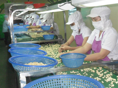 Bình Thuận: 6 tháng đầu năm 2023, doanh thu tại các Khu công nghiệp tăng 11%