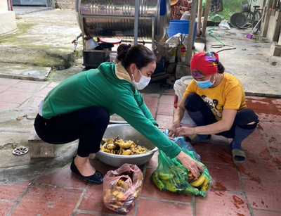 Bắc Ninh: Hơn 71% hộ gia đình huyện Gia Bình thực hiện phân loại, xử lý rác thải hữu cơ