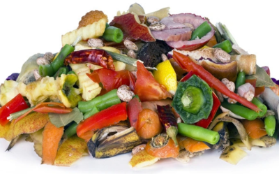 Tái chế rác thải thực phẩm thành chất dinh dưỡng chăm sóc cây trồng