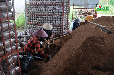 Nông dân Đắk Nông thoát nghèo nhờ mô hình kinh tế điểm