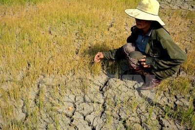 Thái Lan: Hạn hán có thể kéo dài sang năm 2024
