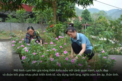 Lào Cai: Mô hình “10 hộ liền kề nhà sạch, vườn đẹp, ngõ văn minh”
