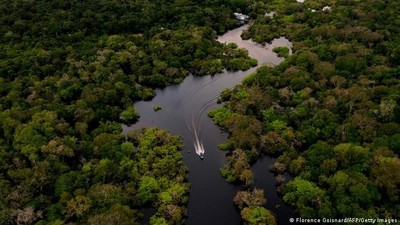 Hội nghị cấp cao tại Colombia: Thúc đẩy nỗ lực bảo vệ rừng Amazon