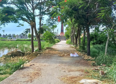 Nhếch nhác đường vào nghĩa trang liệt sĩ Thị trấn Tiên Lãng (Hải Phòng)