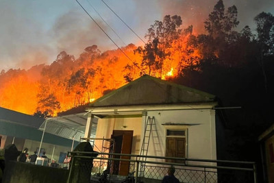 Nghệ An: Hàng trăm người đang xuyên đêm dập lửa cháy rừng ở huyện Nam Đàn