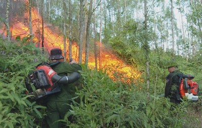 Nghệ An: Liên tiếp xảy ra cháy rừng tại huyện Nam Đàn