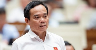Phó Thủ tướng Trần Lưu Quang làm Phó Chủ tịch thường trực Ủy ban Quốc gia chuyển đổi số