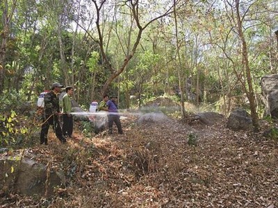 An Giang: Tập trung bảo vệ rừng cao điểm mùa khô hạn, thiếu nước