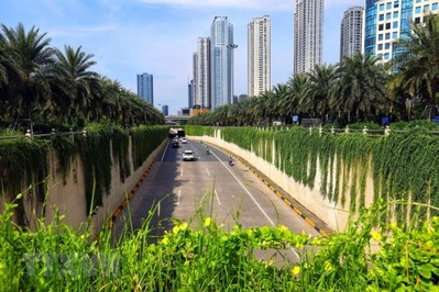 Mô hình “đô thị nén” giúp bảo vệ hạ tầng “xanh”
