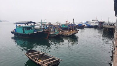 Từ 12h hôm nay, Quảng Ninh cấm biển, Hải Phòng tạm dừng tham quan Vịnh Cát Bà