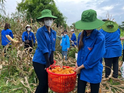 Bắc Giang: Cao điểm Chiến dịch thanh niên tình nguyện “Mùa hè xanh”