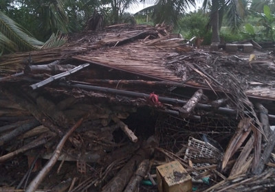 Bến Tre: Nhiều nhà ở bị sập, tốc mái do dông lốc