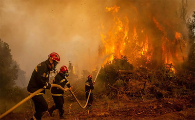 Cháy rừng tại Algeria khiến ít nhất 60 người thương vong