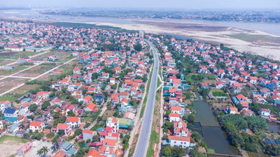 Phú Thọ sắp đấu giá 173 lô đất, khởi điểm từ 425 triệu đồng/lô