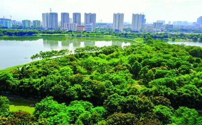 “Không gian rừng trong trung tâm” Cơ hội phát triển đô thị Hà Nội bản sắc - bền vững