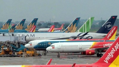 Cục Hàng không Việt Nam cấp, hủy giấy phép kinh doanh cảng hàng không