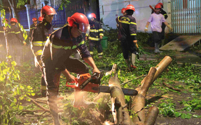 Bình Phước: Xuyên đêm cứu hộ, dọn dẹp cây xanh bị đổ gãy sau mưa giông