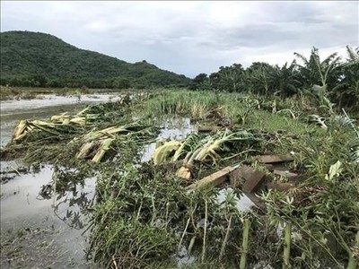 Khẩn trương khắc phục hậu quả do mưa lớn kéo dài tại Bình Thuận