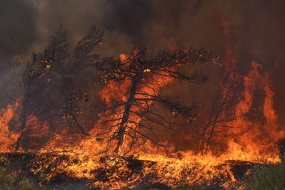Hệ sinh thái của Hy Lạp có nguy cơ bị tàn phá do cháy rừng
