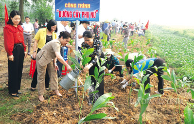 Phụ nữ thành phố Bắc Ninh hành động “Vì môi trường sạch”