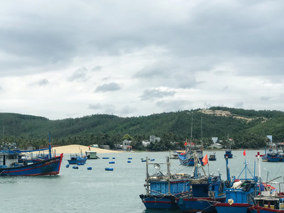 Bình Định: Cửa biển Tam Quan bị sạt lở nghiêm trọng