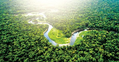 Chính sách chung lần đầu được xây dựng cho Tổ chức Hiệp ước Hợp tác Amazon