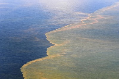 Khắc phục sự cố rò rỉ dầu trên biển tại Mexico