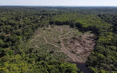 Ghi nhận tình trạng phá rừng Amazon giảm mạnh