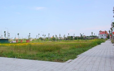 Đấu giá hơn 4.000m2 đất tại huyện Sóc Sơn, khởi điểm từ 8,3 triệu đồng/m2