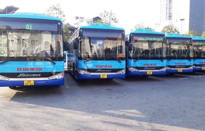 Hà Nội đang lựa chọn nhà cung cấp dịch vụ vận tải hành khách đối với 7 tuyến buýt 1.090 tỷ đồng