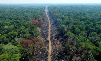 Brazil đầu tư 410 triệu USD để phòng, chống tội phạm tại Amazon