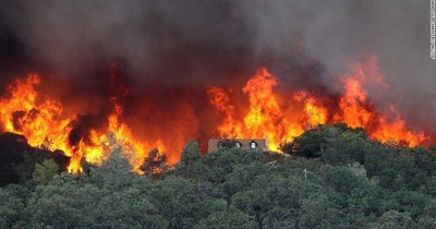 Mỹ: Bang California sử dụng AI để phát hiện cháy rừng
