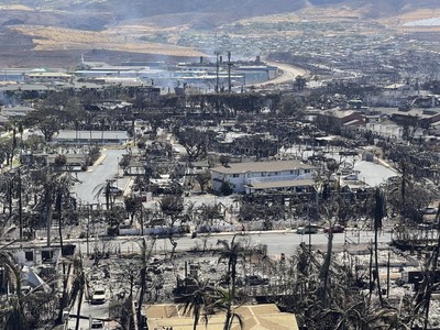 Cháy rừng ở Hawaii có hậu quả nghiêm trọng nhất tại Mỹ trong hơn 100 năm qua
