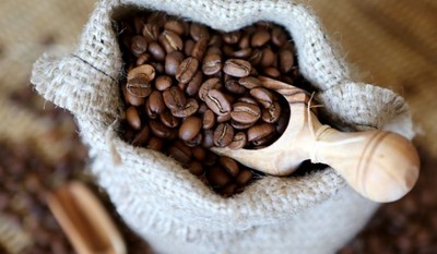Giá cà phê hôm nay 15/8: Cập nhật giá cà phê Tây Nguyên và Miền Nam