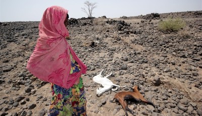 FAO hỗ trợ Somalia ứng phó với các tác động của hiện tượng El Nino