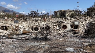 Thảm họa cháy rừng ở Hawaii: Số người thiệt mạng đã lên 114
