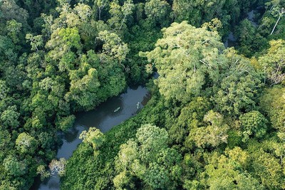 Ecuador: Gần 60% người dân tán thành lệnh cấm khai thác dầu ở rừng Amazon