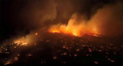 Ghi nhận số vụ cháy rừng do con người gây ra tại Mỹ tăng mạnh