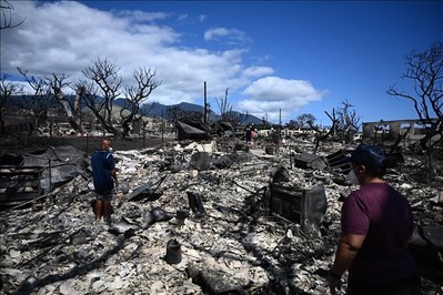 Cháy rừng tại Hawaii: Ước tính thiệt hại lên tới 6 tỷ USD