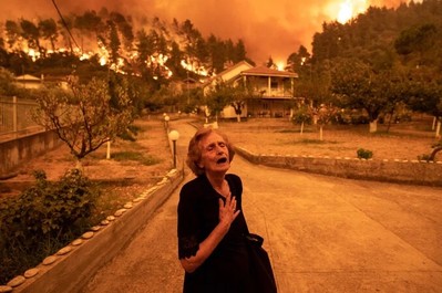 Hy Lạp: Hơn 120.000 ha bị thiêu rụi trong vụ cháy rừng trong 8 tháng qua
