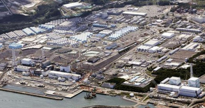 Nhật Bản: Không phát hiện bất thường trong mẫu cá sau khi xả nước thải hạt nhân