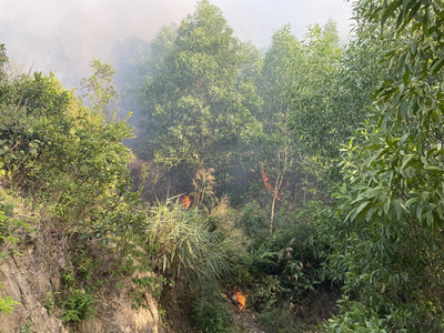 Quảng Bình: Hàng trăm người nỗ lực dập tắt đám cháy ở rừng keo