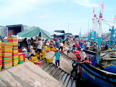 Bình Định: Tăng cường công tác bảo vệ môi trường ở khu vực cảng cá