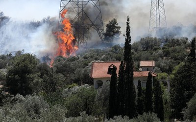 Ban bố lệnh sơ tán mới do cháy rừng lan rộng tại Hy Lạp