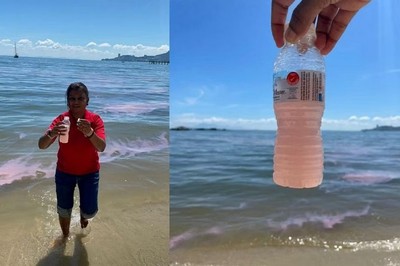 Malaysia: Nước biển chuyển màu hồng do ảnh hưởng của tảo biển