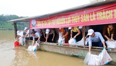 Lào Cai thả cá phóng sinh, tái tạo nguồn lợi thủy sản trên sông Hồng